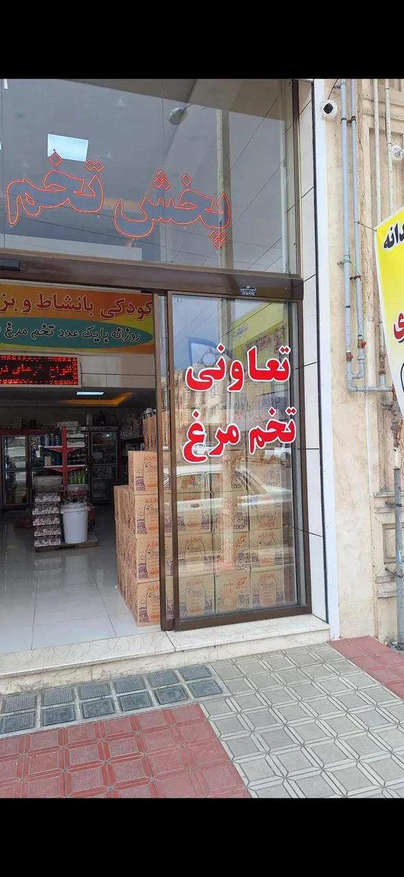 پخش تخم مرغ برهما - تصویر 2