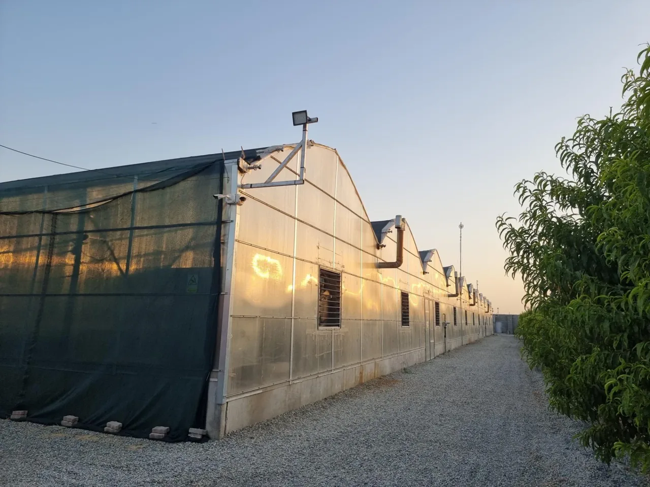 گلخانه فرخی زاده - تصویر 2