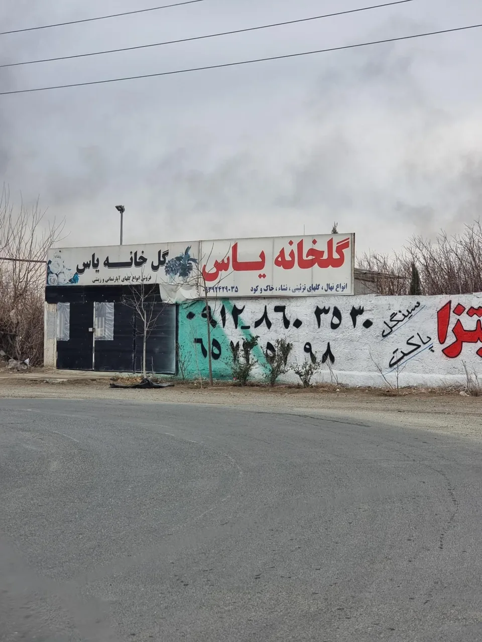 گلخانه یاس