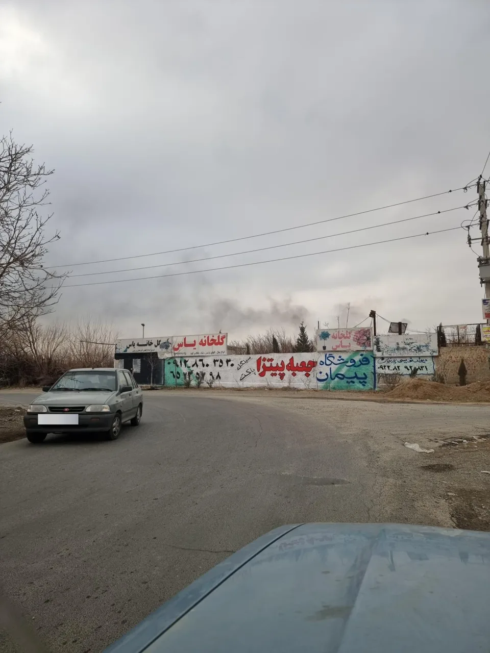 گلخانه یاس - تصویر 2