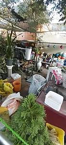 گلخانه شهرگل