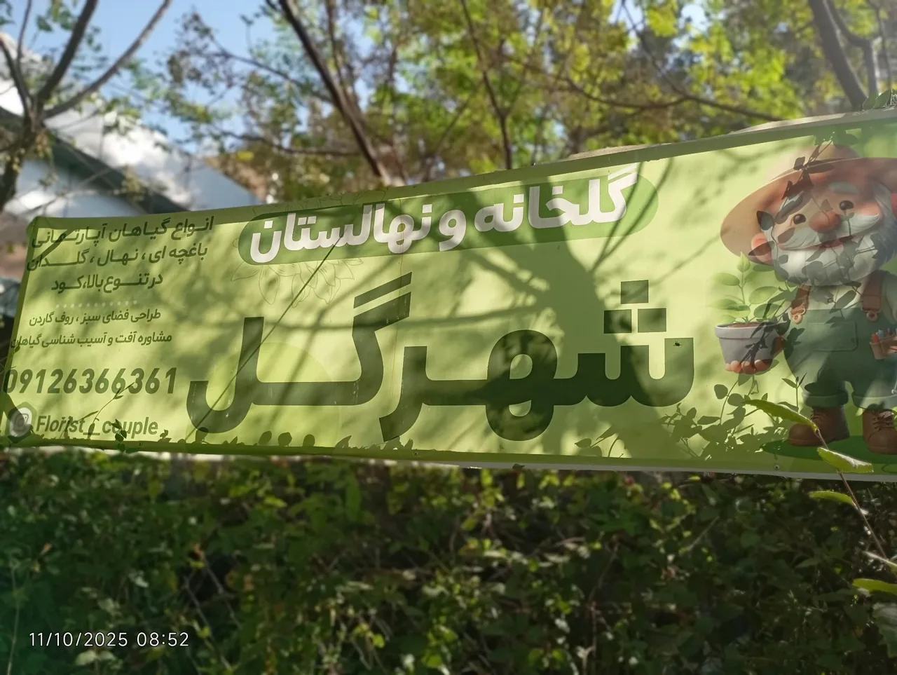 گلخانه شهرگل - گل و گیاهان زینتی در تهران - تصویر 2