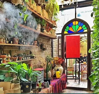 گلخانه گیاچی