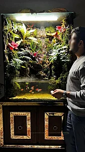 شرکت طبیعت مدرن