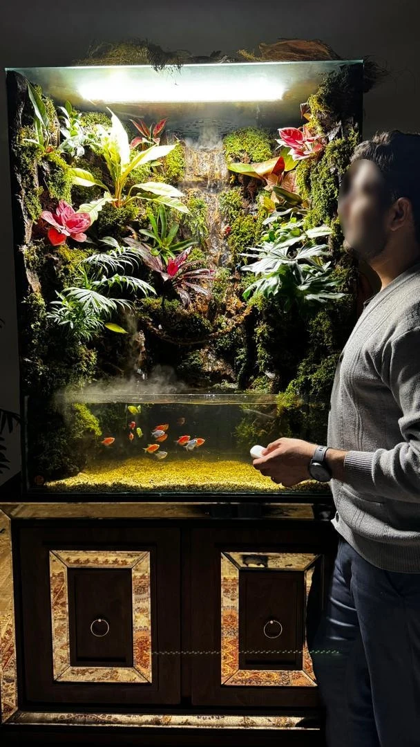 شرکت طبیعت مدرن