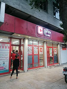 توسعه دهندگان دلفین هفت