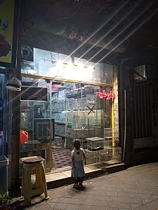 پرنده سرای رنگارنگ