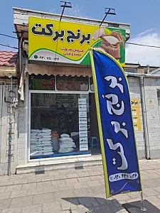 برنج برکت