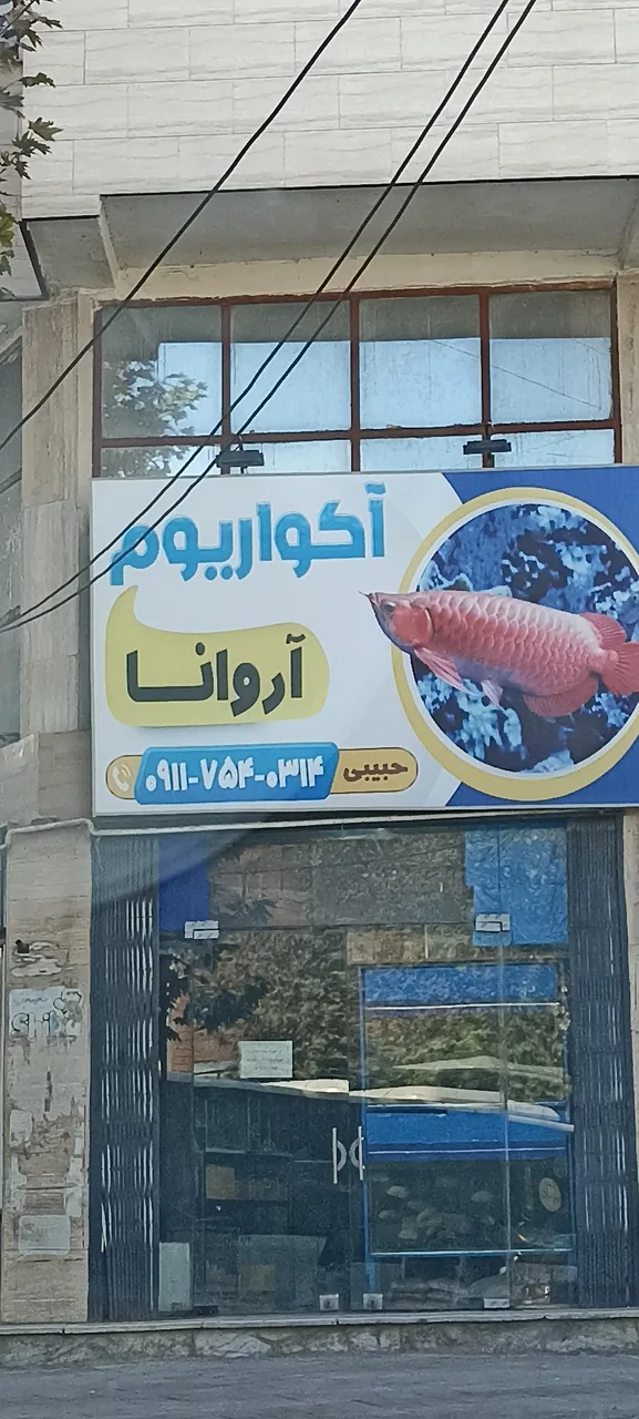 آکواریوم آروانا