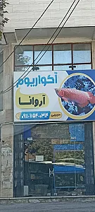 آکواریوم آروانا