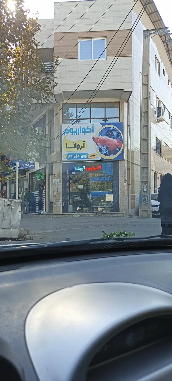 آکواریوم آروانا - تصویر 2