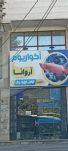 آنیتا آکواریوم