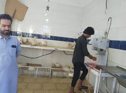 مرغ فروشی برادران کمالی