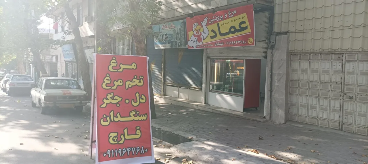 پروتئین عماد - تصویر 3
