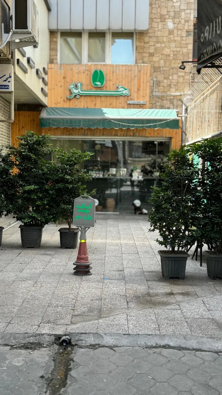 کافه خانه سبز - تصویر 2