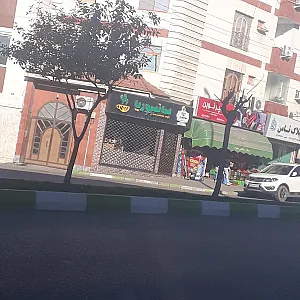 سانسوریا