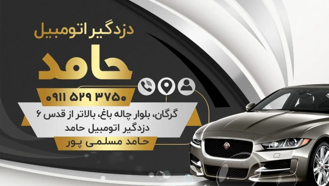 دزدگیر اتومبیل حامد - تصویر 3