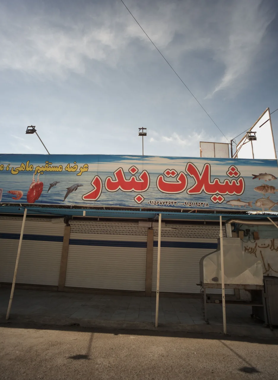 شیلات بندر