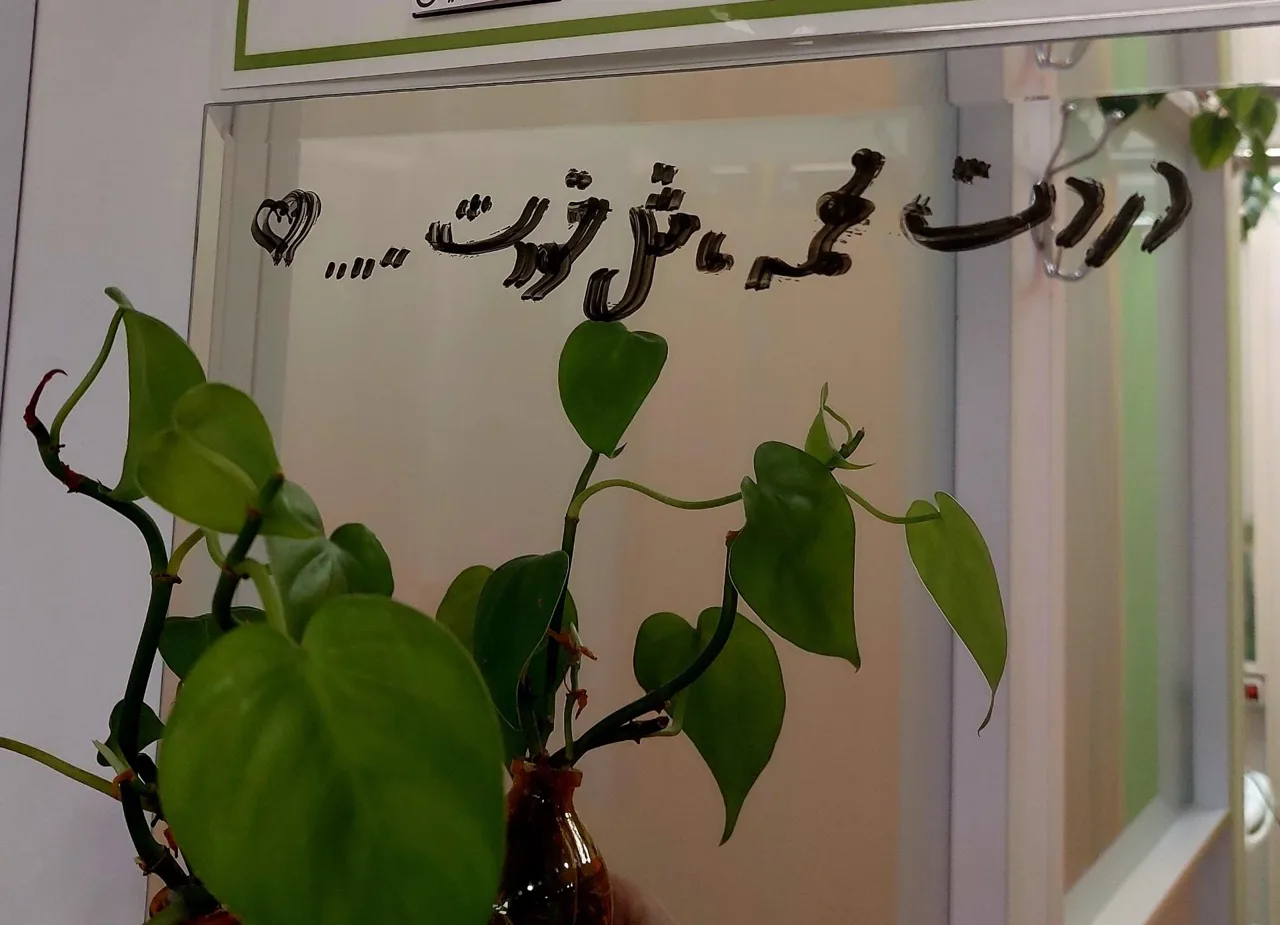 فیزیوتراپی بهشت - تصویر 4