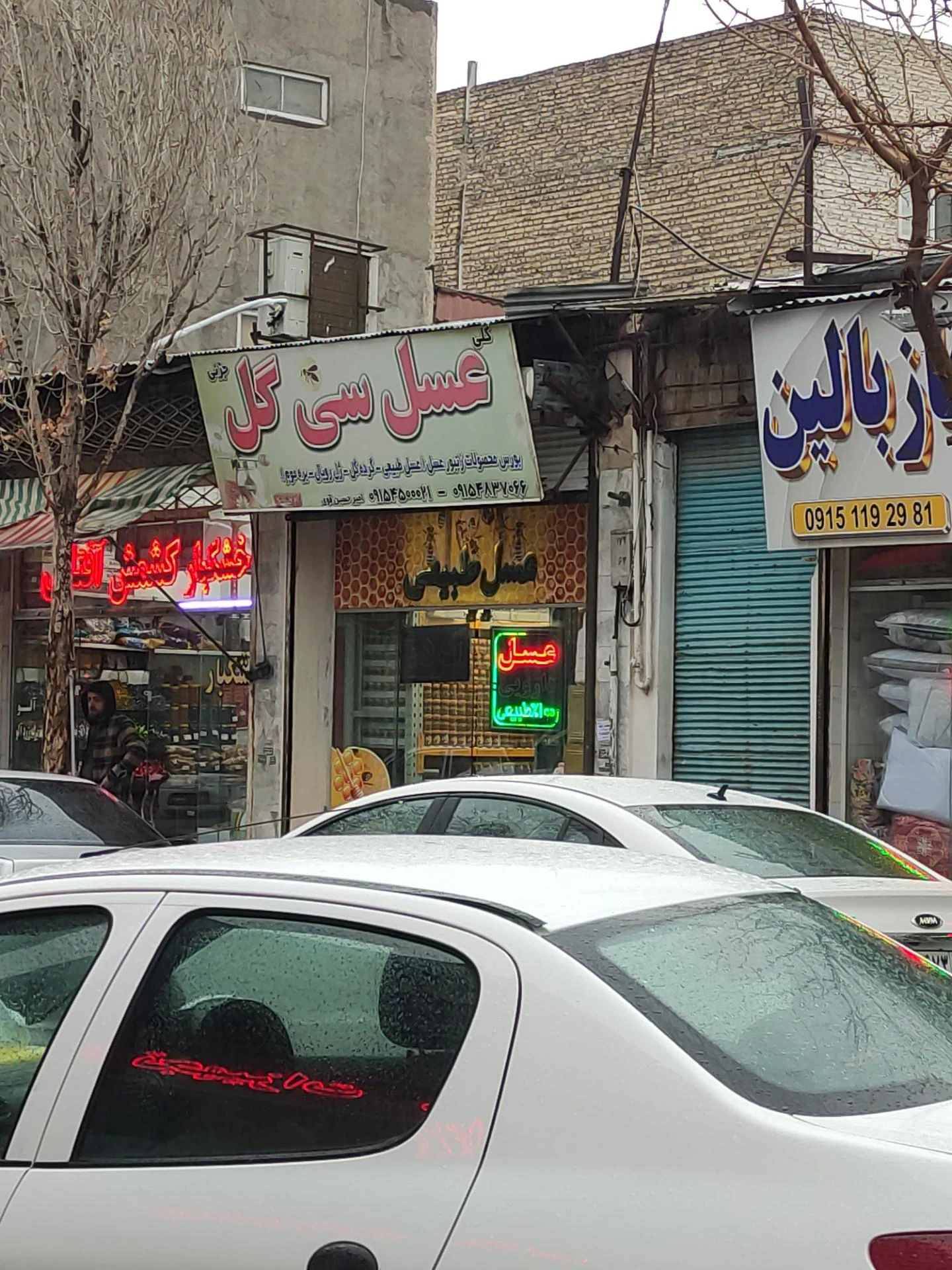 جهان عسل - تصویر 3