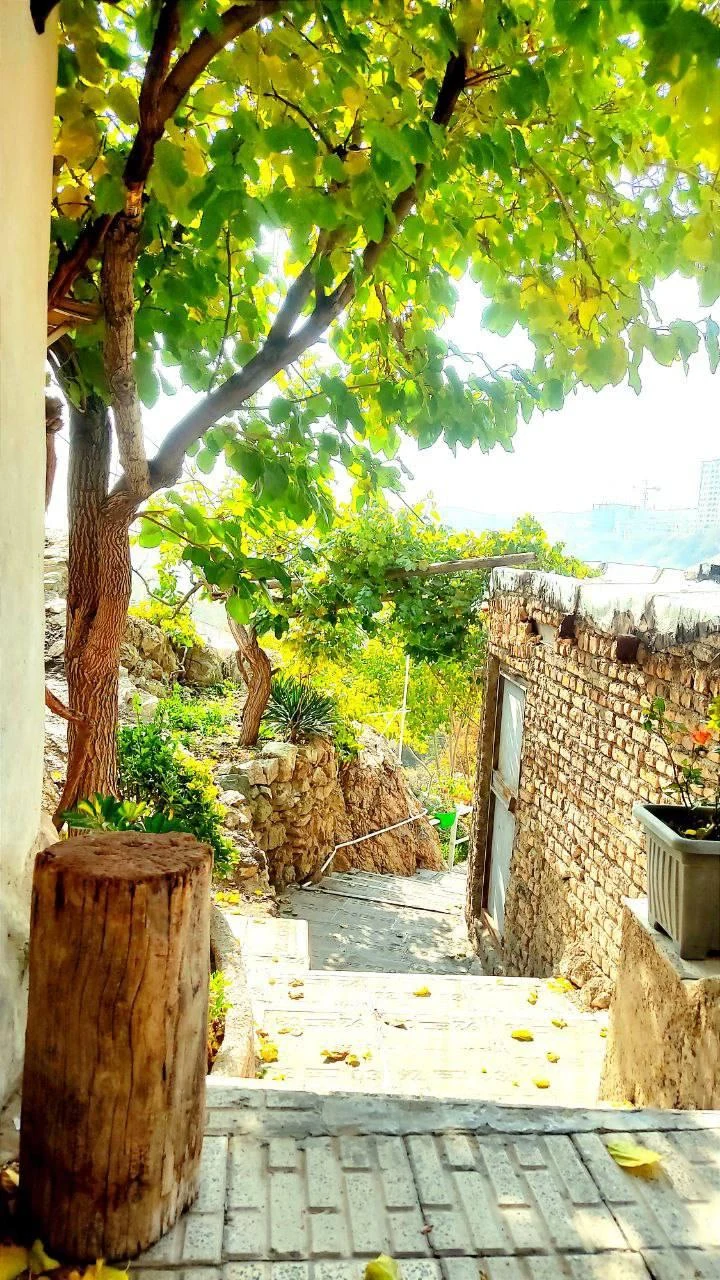 اجاره سوئیت کریمی - تصویر 3