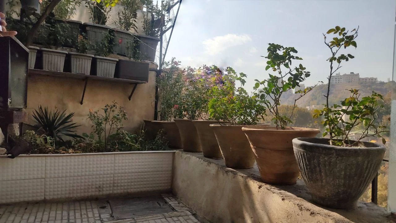 اجاره سوئیت کریمی - تصویر 5
