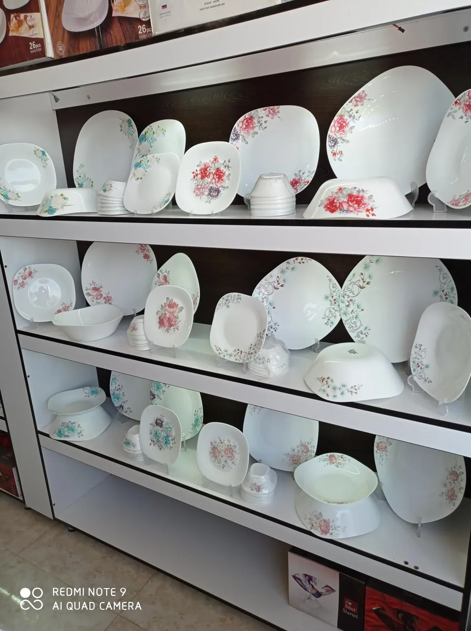 بورس چینی و آرکوپال محسن - تصویر 3