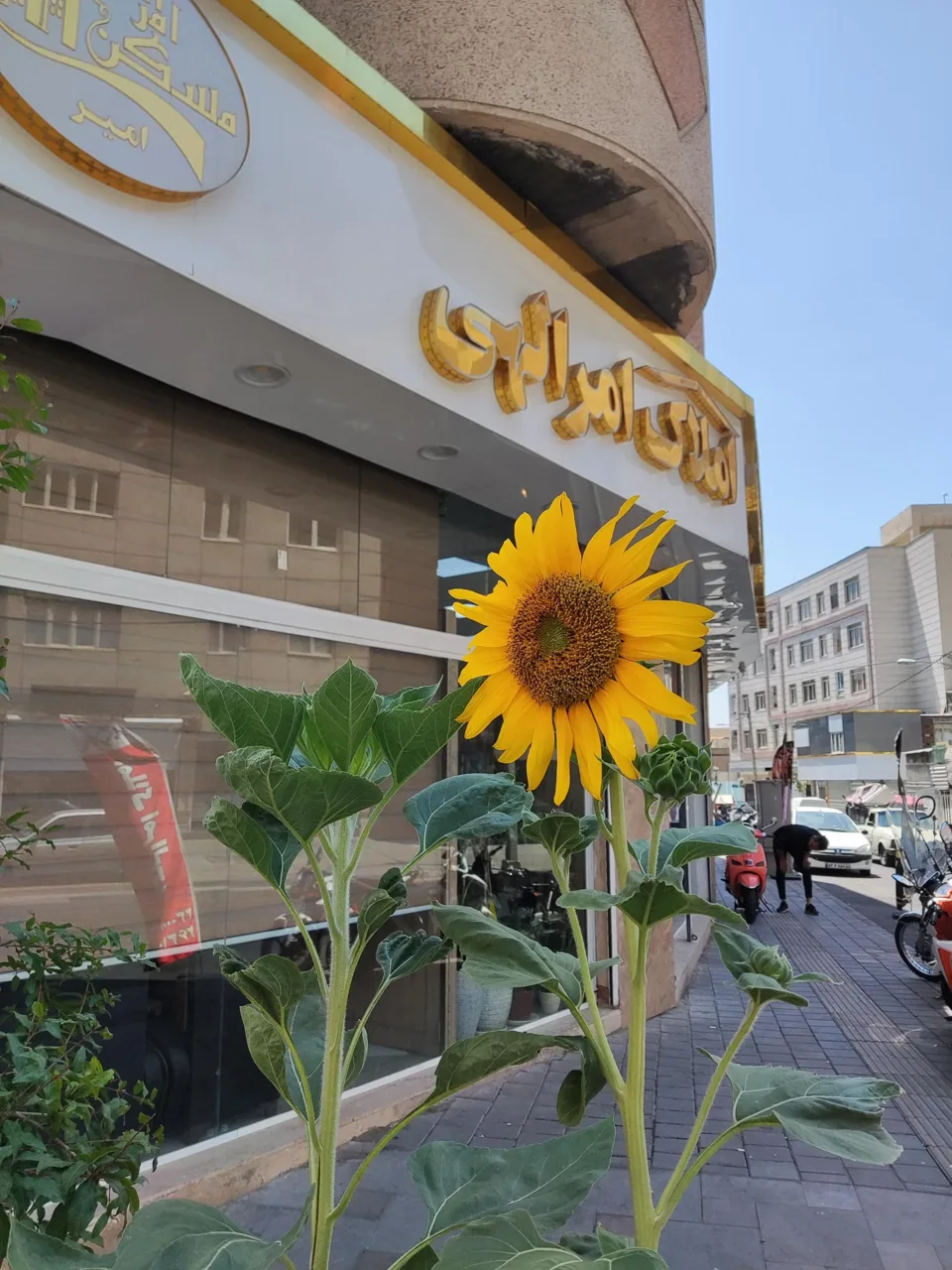 مشاورین مسکن امرالهی - تصویر 3