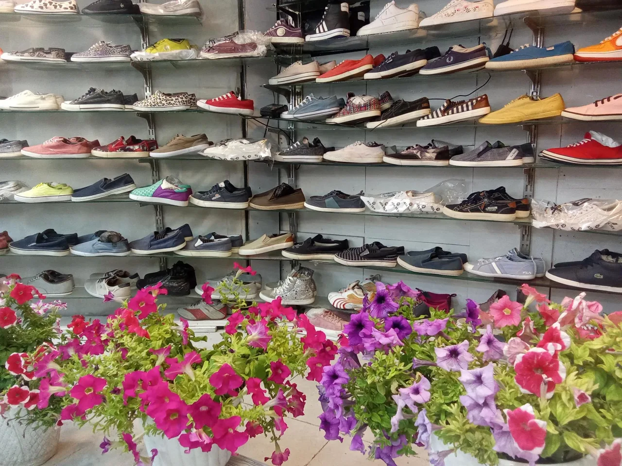 کتونی سمپل - تصویر 4