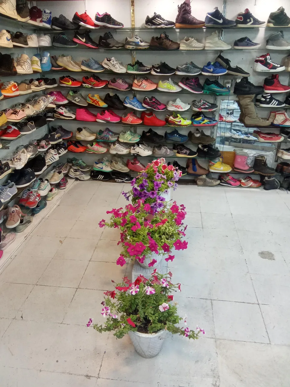 کتونی سمپل - تصویر 5