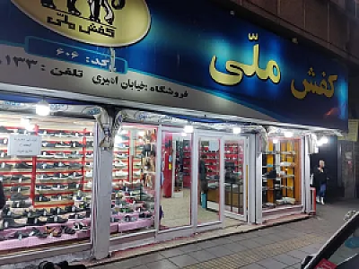 کفش ملی 606 امیری