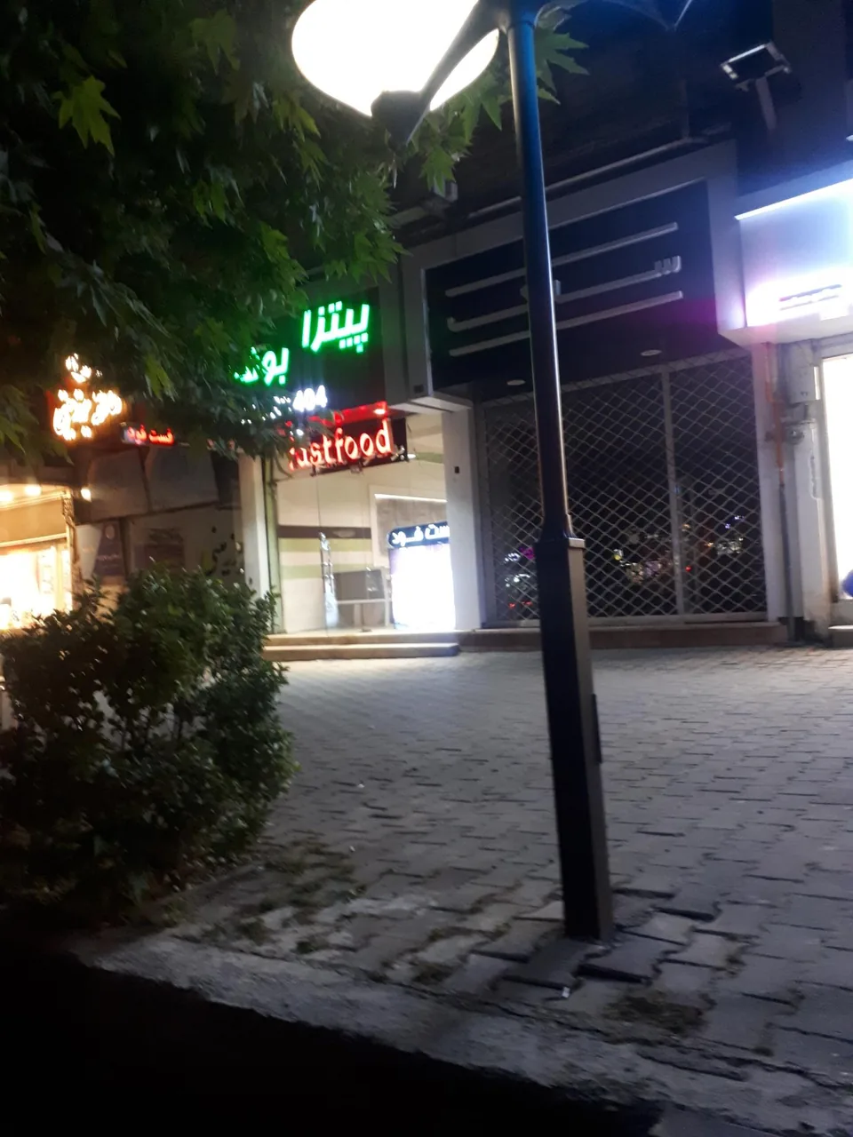 پیتزا بوفالو - تصویر 2