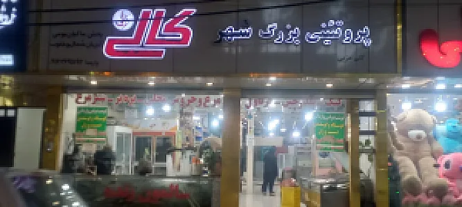 سوپر پروتئین خانواده