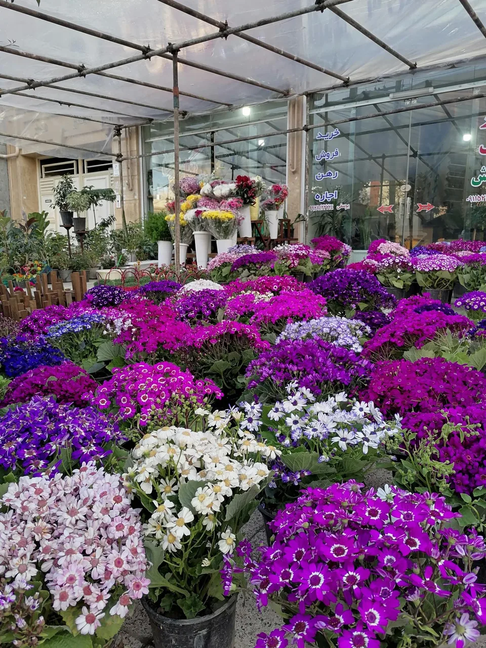 گل فروشی پارسا - تصویر 2