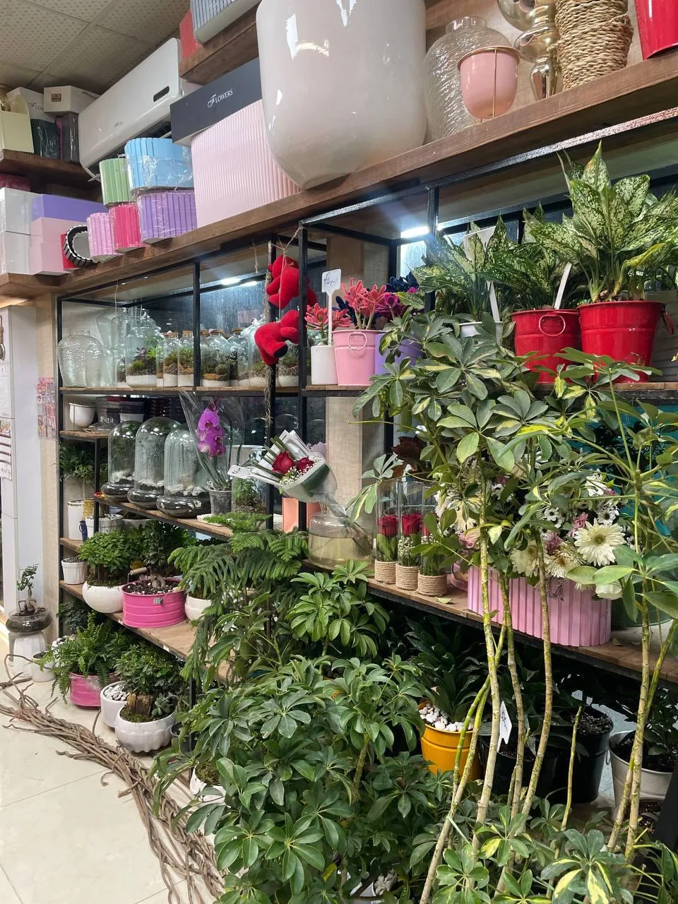 گل فروشی افشین - تصویر 2