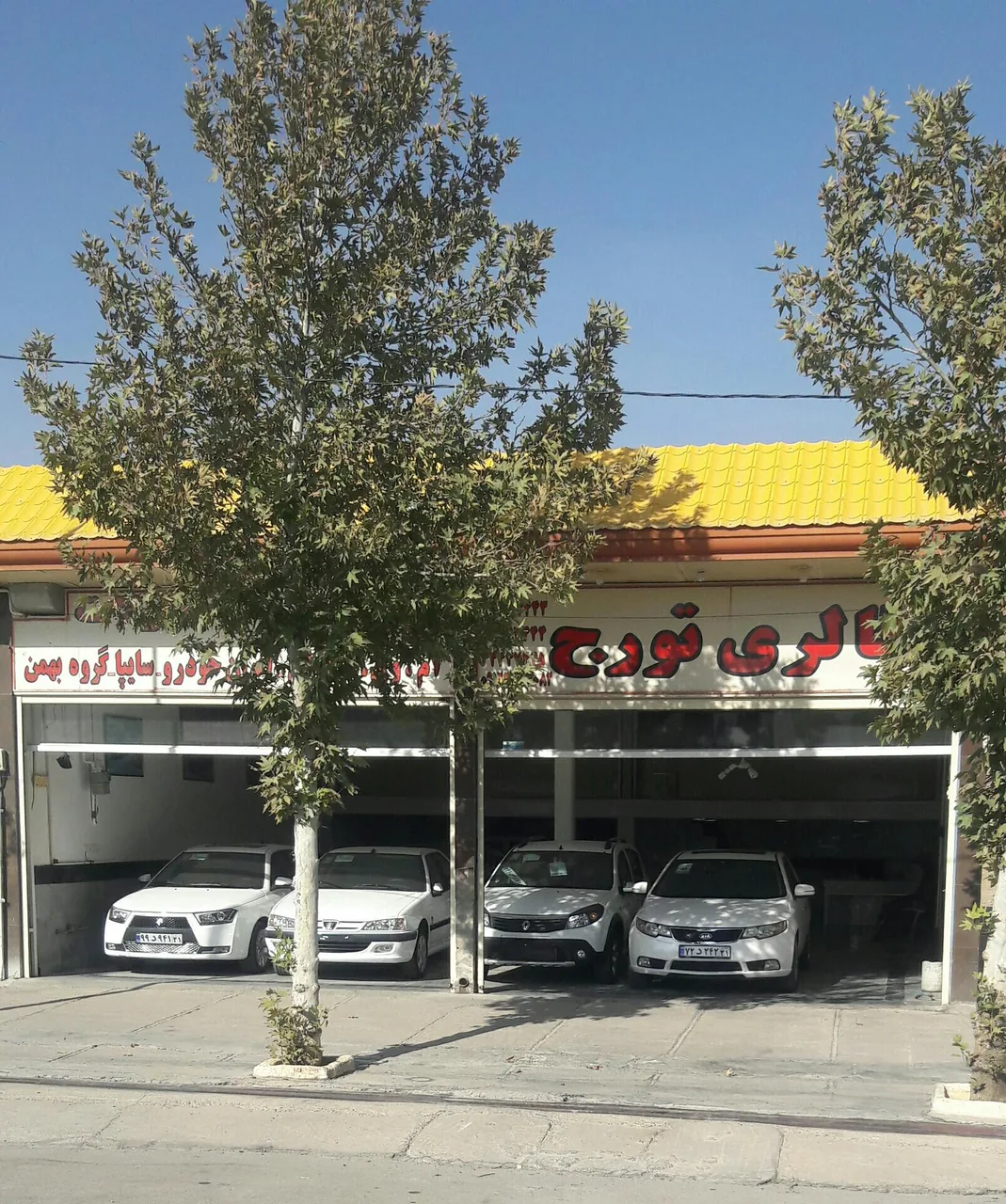 اتو گالری تورج فولادوند