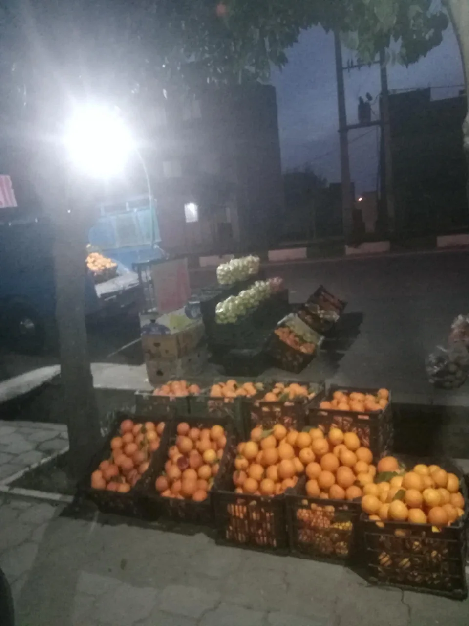 میوه فروشی هامون کشتگر - تصویر 4