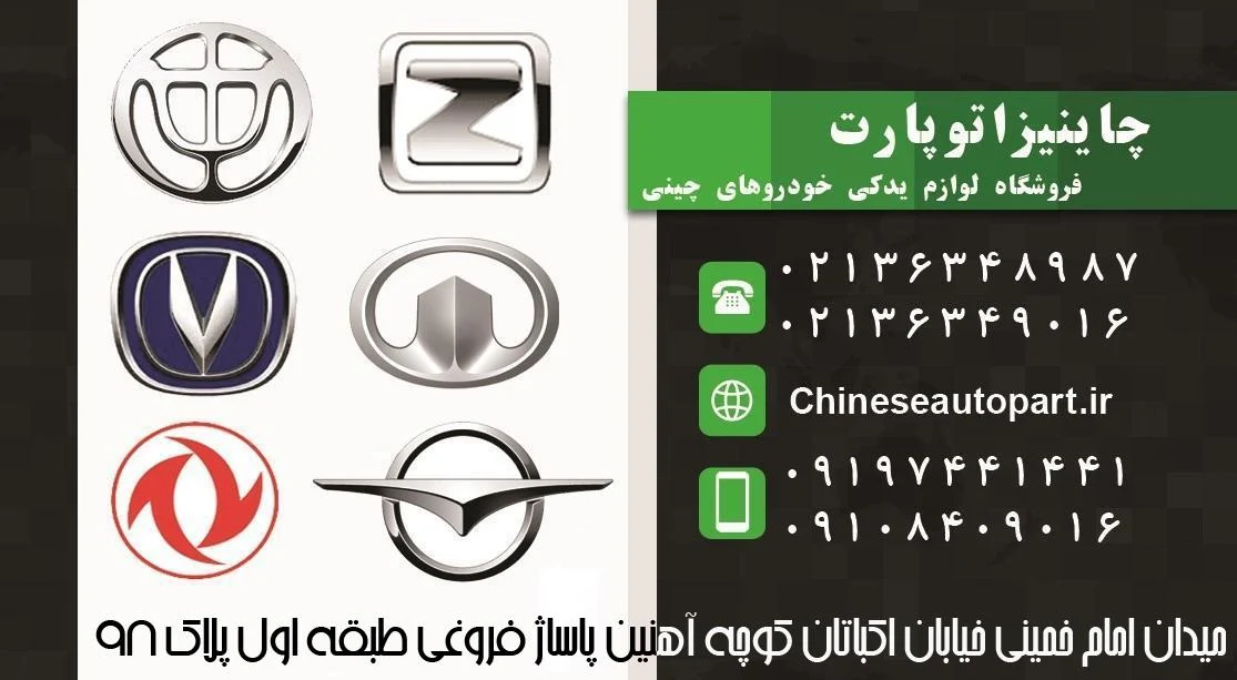 چاینیز اتو پارت - تصویر 2