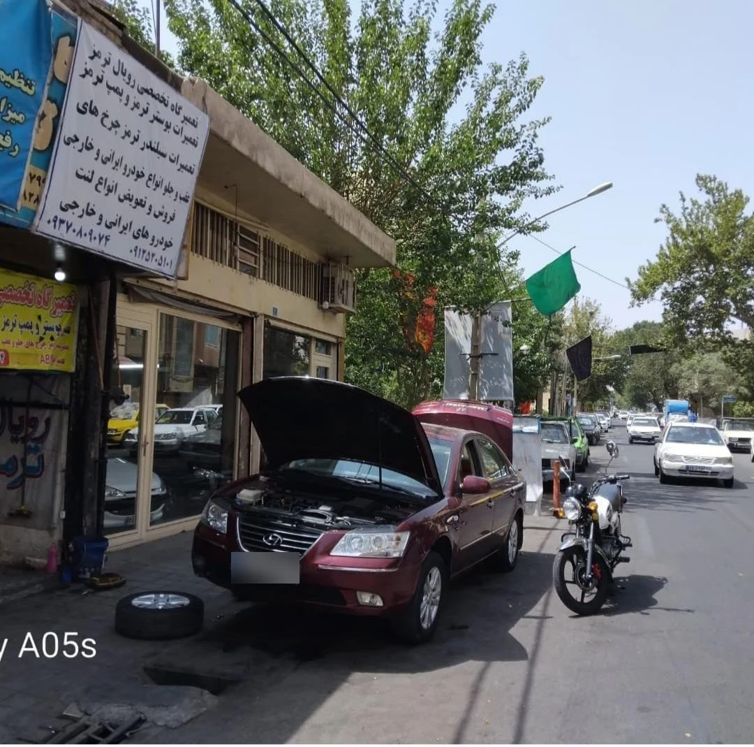رویال لنت - تصویر 4