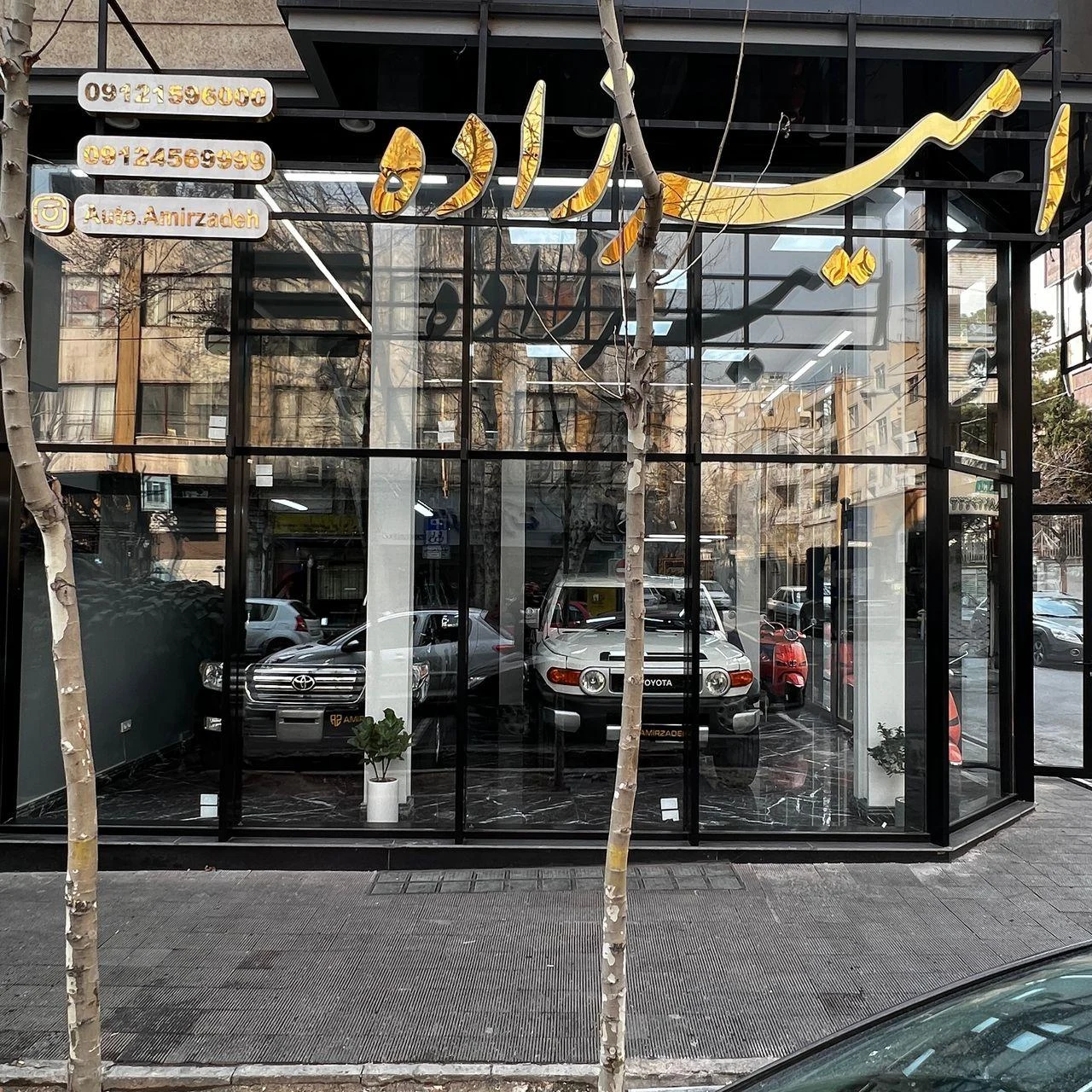 اتو امیرزاده - تصویر 4