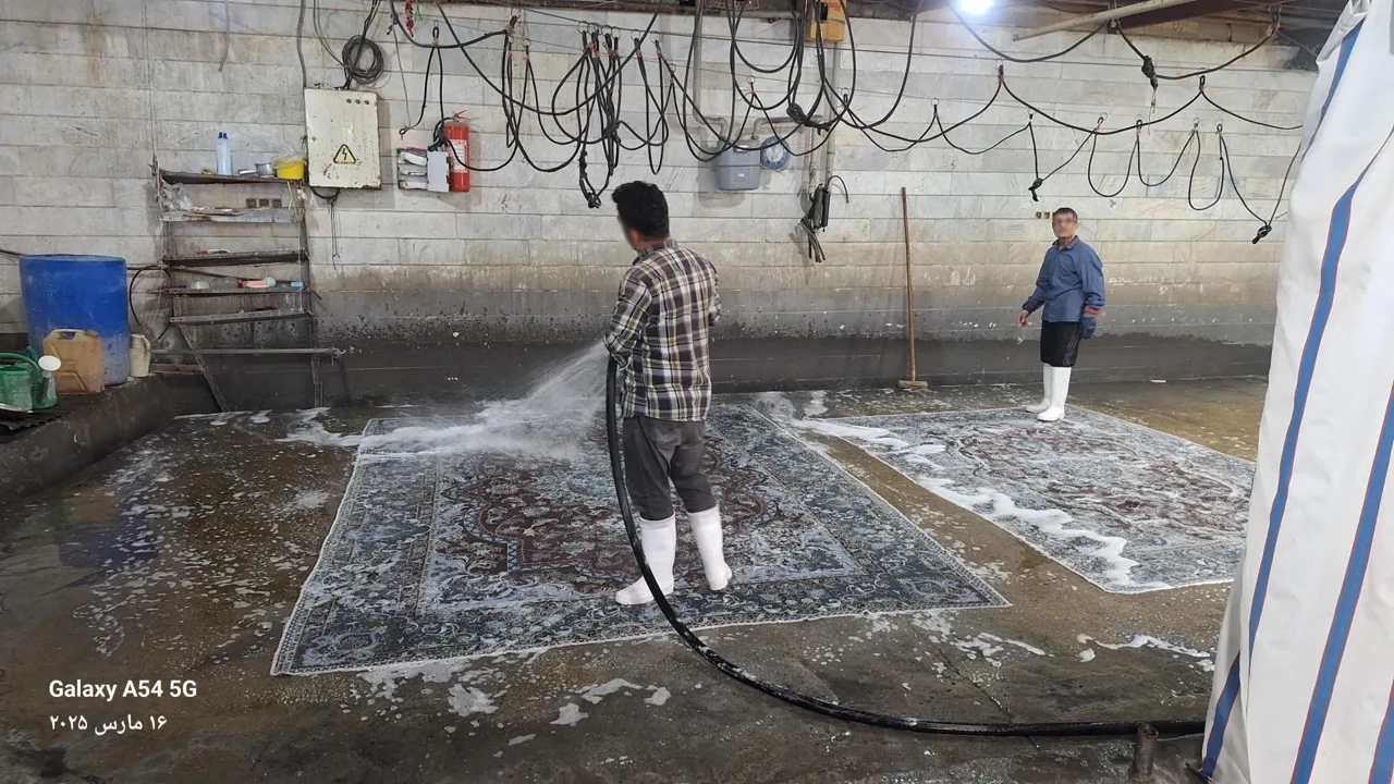 قالیشویی بهشت