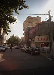 چاپ و تکثیر ناژین