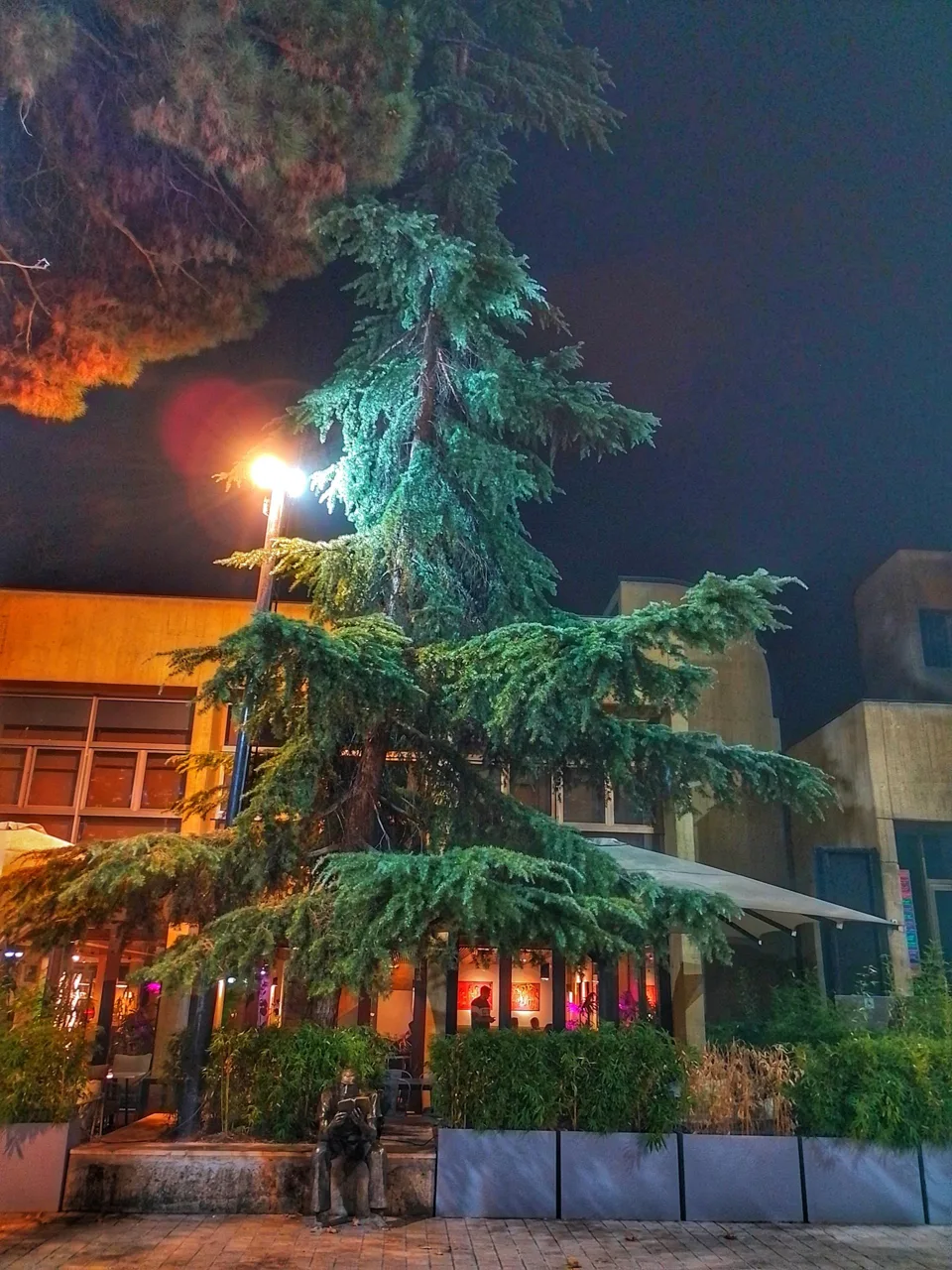 فرهنگسرای نیاوران - تصویر 5