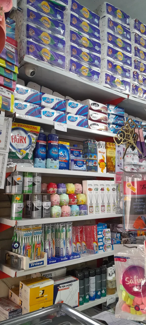 فروشگاه یکبار مصرف سروش