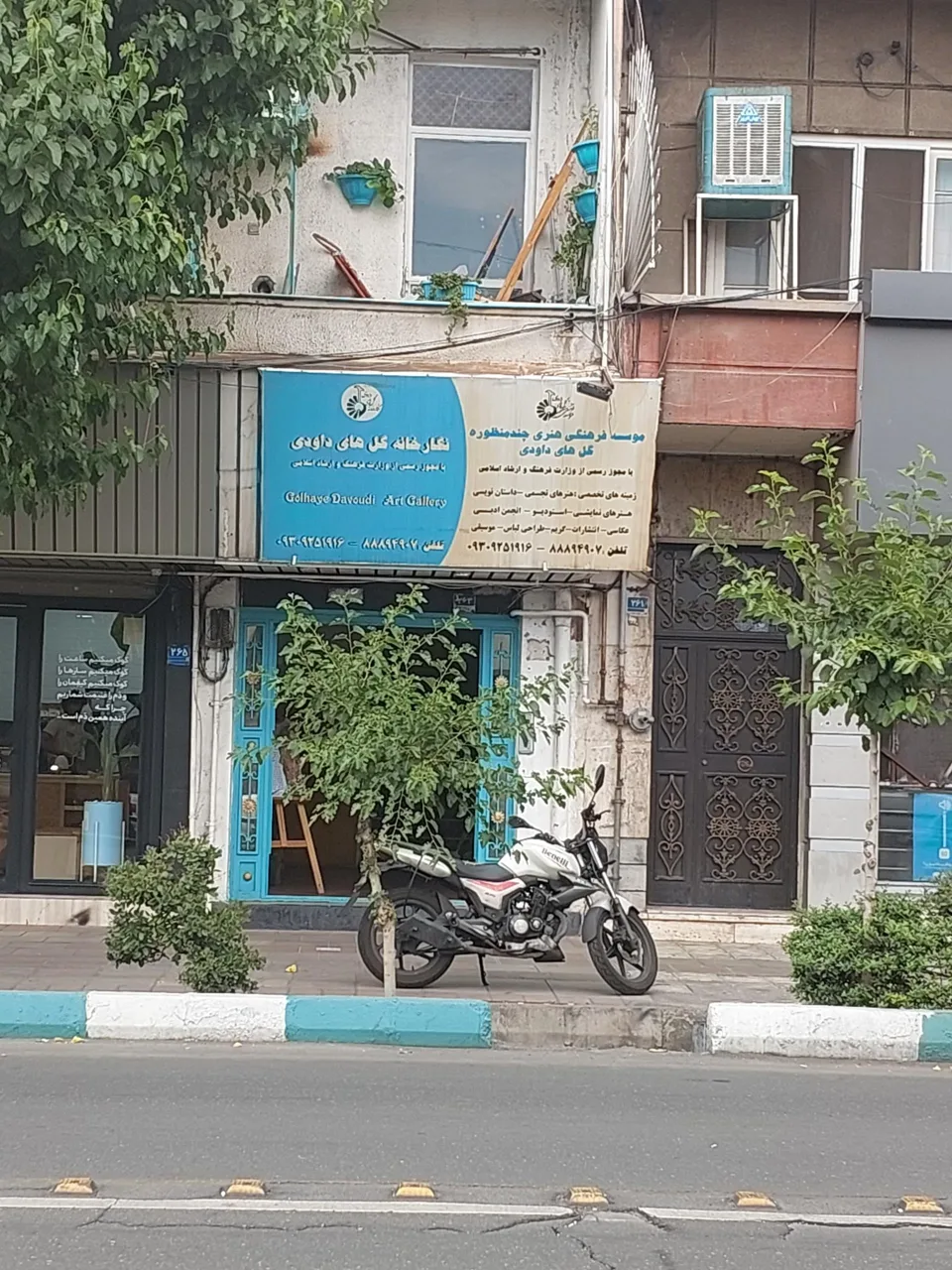 موسسه فرهنگی هنری گل های داودی - تصویر 2