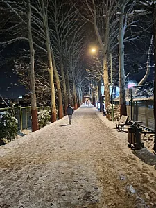 مجموعه فرهنگی ورزشی انقلاب