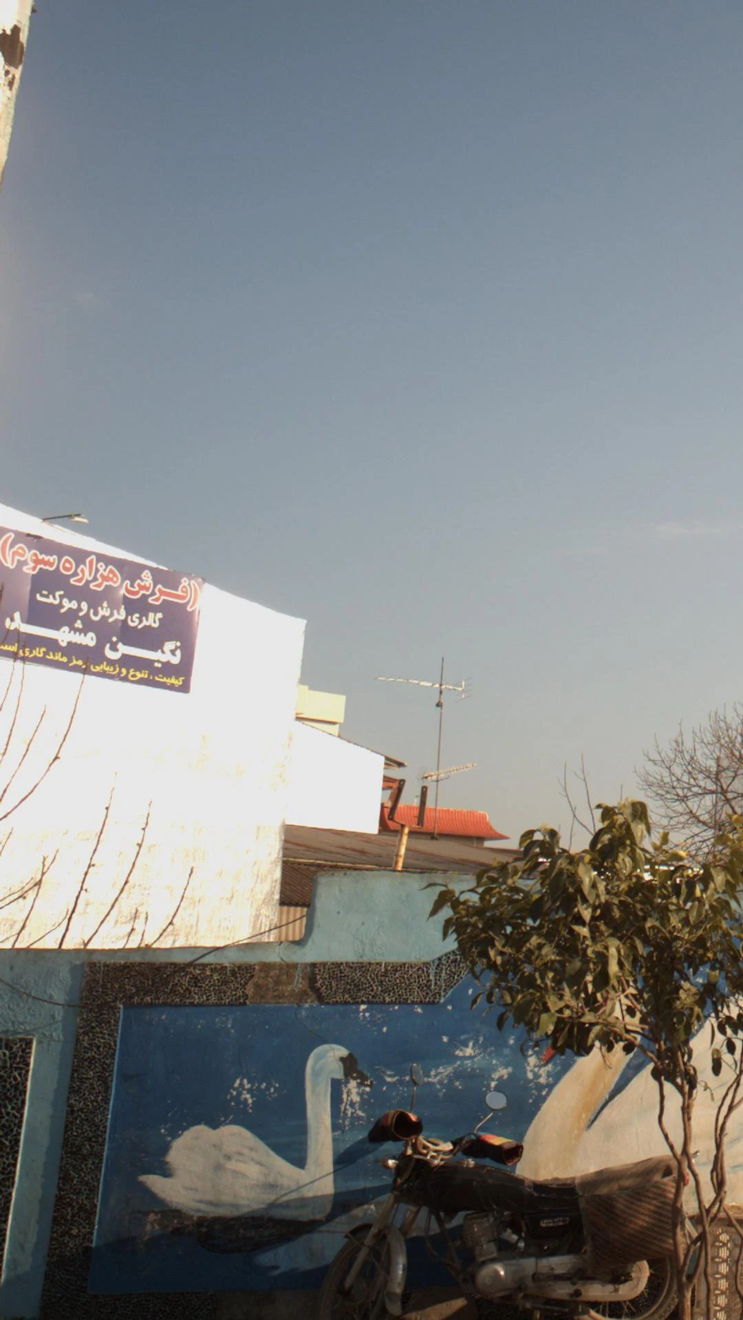 فرش نگین مشهد - فرش و موکت در مشهد