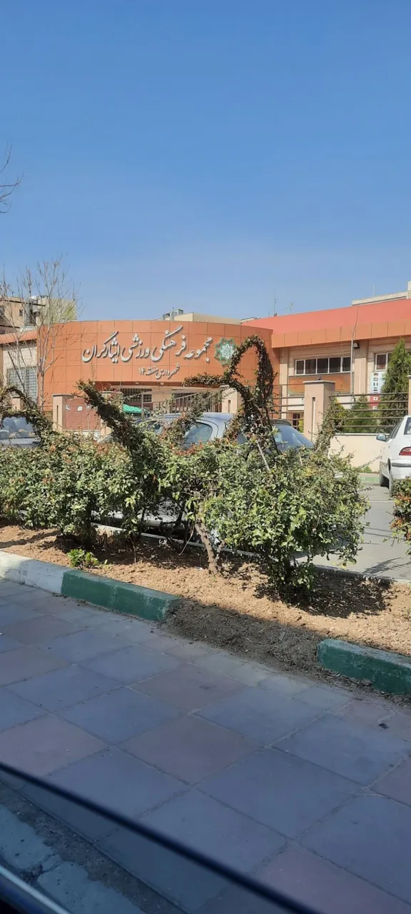 مجتمع ورزشی ایثارگران - تصویر 2