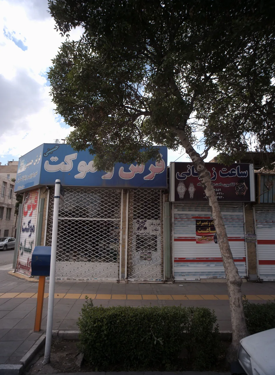 فرش حسینی