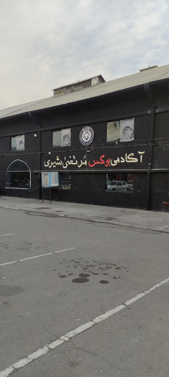 آکادمی بوکس مرتضی شیری - تصویر 3